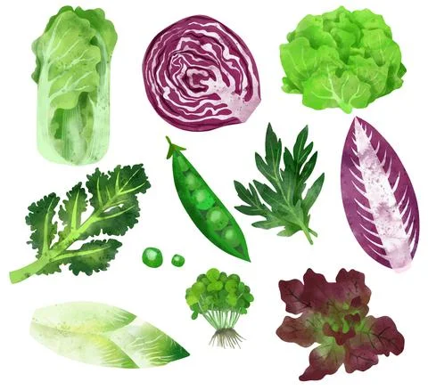Veggies. Hand drawn vector illustration. Stock Illustration