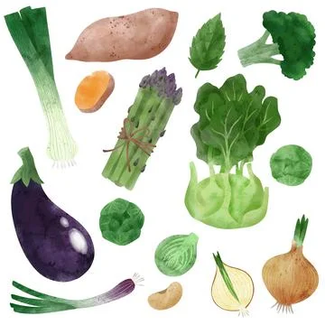 Veggies. Hand drawn vector illustration. Stock Illustration