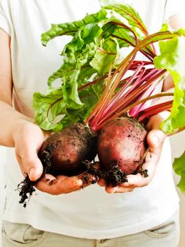 Veggies in hands Stock Photos