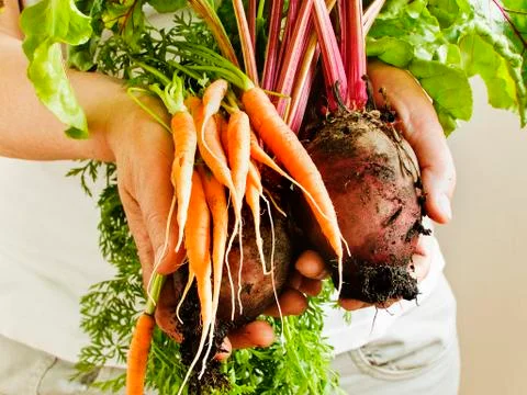 Veggies in hands Stock Photos