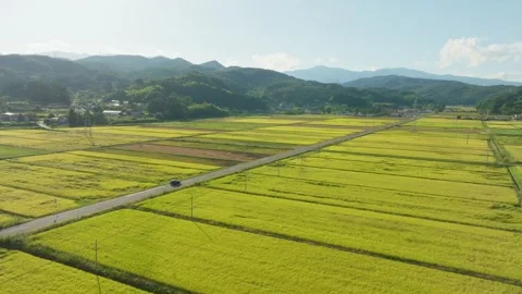 Vehicle Driving Across The Road Through Sweeping Fields Outside Fukushima City Stock Footage 336989547