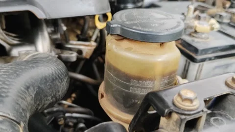 Vehicle Engine Bay Cooling Fluid Reservoir Vídeos de archivo 307660368