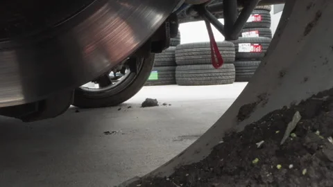 Vehicle maintenance with growing sprout. Workshop setting with stacked tires and Stock Footage 341979280