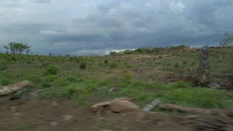 Vehicle in motion with a landscape devoid of trees due to illegal tree felling Stock Footage 154423665