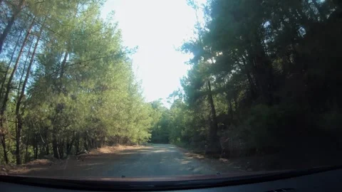 Vehicle navigating through a winding forest road, surrounded by lush greenery Stock Footage 324748369
