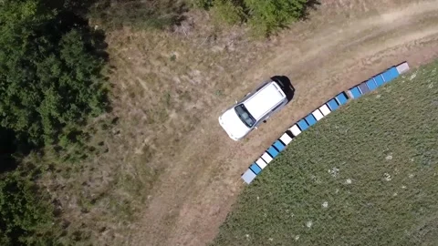 Vehicle passing by boxes and artificial beehives in the forest Video stock 157024893