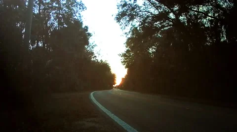 Vehicle passing through woods into opening Vídeos de archivo 45227905