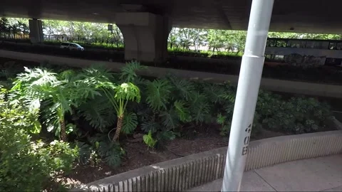 Vehicle Shot, Side View from Double Deck Tram, Sheung Wan, Hong Kong Stock Footage 260936091