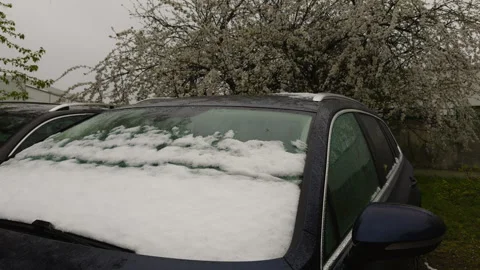 A vehicle with snowcovered windshield parked by a tree Vídeos de archivo 275431881