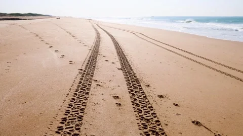 Vehicle tire tracks empty sandy beach beside rolling ocean waves Stock Footage 332166300