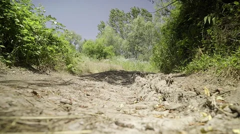 Vehicle tracks in the summer mud. Somewhere close to nowhere Stock Footage 68018100