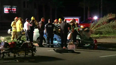 Vehicle vs Palm Tree 4 Stock Footage 688818