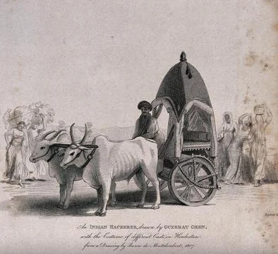 A vehicle with wooden wheels pulled by two oxen in India. Etching by T. Wag.. Stock Illustration