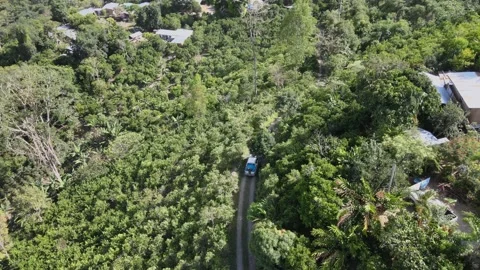 Vehicles circulating on the highway in the middle of the jungle, aerial view Video stock 202345566