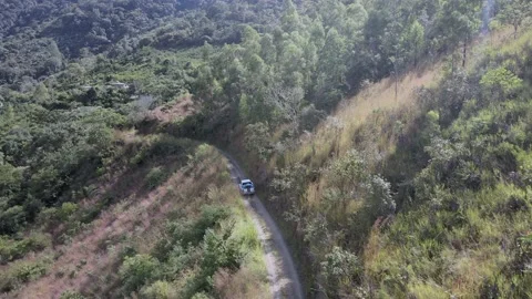 Vehicles circulating on the highway in the middle of the Peruvian jungle Video stock 202349919