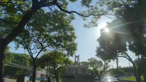 Vehicles on a congested, tree-lined avenue in southern Brazil Stock Footage 145598970