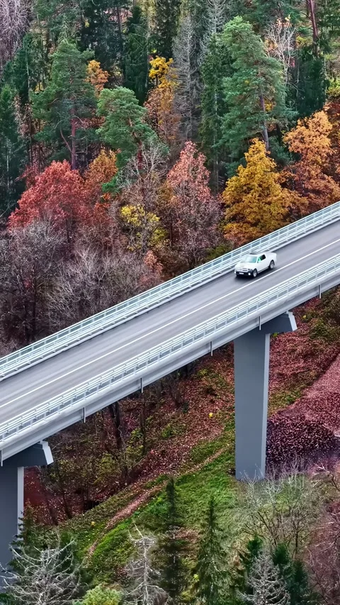Vehicles Crossing Elevated Bridge Amidst Autumn Forest Vidéo 336679161