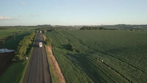 Vehicles driving through large soybean fields. Agriculture. Drone. Video stock 331483078