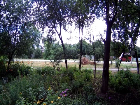 Vehicles in motion Stock Footage 91801477