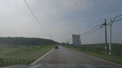 Vehicles moving straight on the road with a view of palm oil plantations Stock Footage 314060442