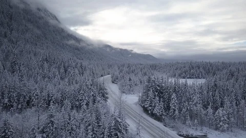 Vehicles riding on the snow covered road amidst the pine forest Stock Footage 104530809
