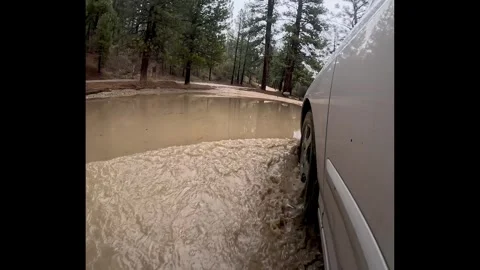 Vehicles tire is stuck in murky mud Stock Footage 334705170