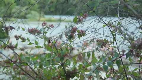 Veiga Watermill Ourense Stock Footage 78766912