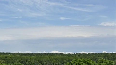 The veil from the clouds draws the sky. Forest on the horizon line Stock Footage 78533611