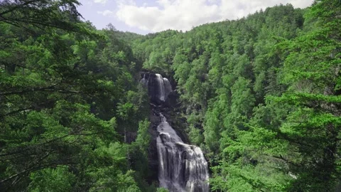 Veil of the Forest: Upper Whitewater Falls Stock Footage 278176127