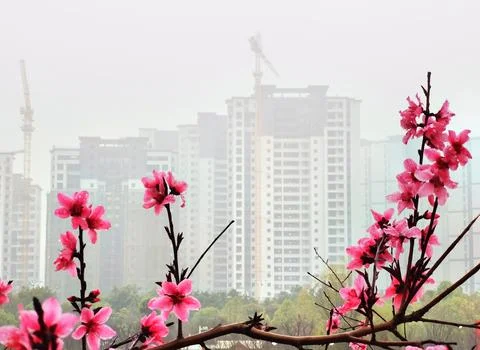 The Veil of Rain Enveloped Stock Photos