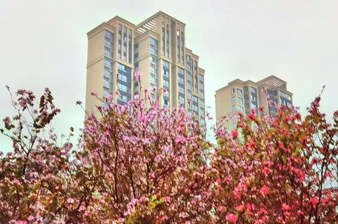 The Veil of Rain Enveloped Stock Photos