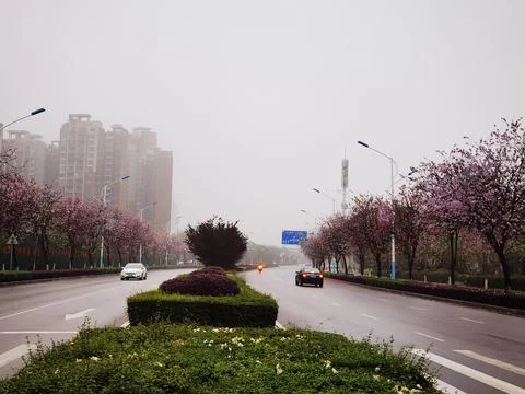 The Veil of Rain Enveloped Stock Photos