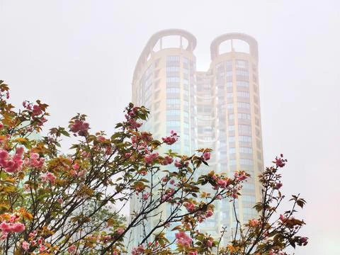 The Veil of Rain Enveloped Stock Photos