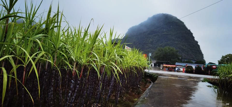 The Veil of Rain Enveloped Stock-Fotos