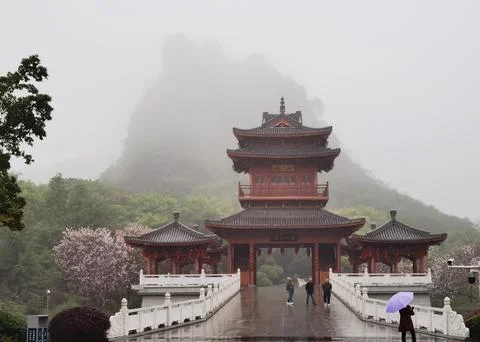 The Veil of Rain Enveloped Stock Photos
