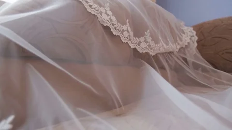 Veil on the sofa Stock Footage 69879879