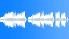 Veil of ViennaStock Music