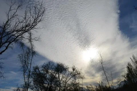 Veiled sky Stock Photos