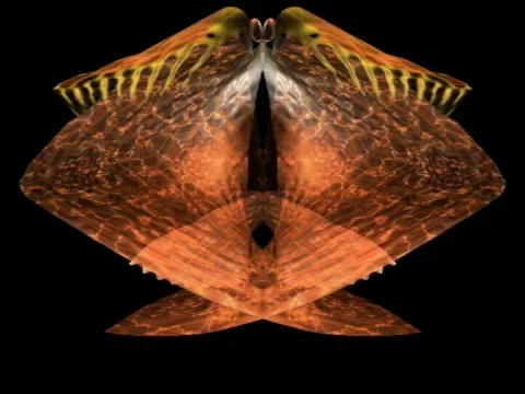 Veilspin2mir Stock-Footage 355379