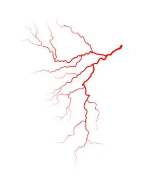 Vein blood system vector symbol icon design. Beautiful illustration isolated  Stock Illustration