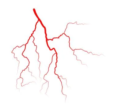 Vein blood system vector symbol icon design. Beautiful illustration isolated  Stock Illustration
