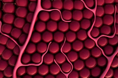 Vein on the cells Stock Illustration