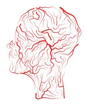 Vein  human head  vector symbol icon design. Beautiful illustration isolated  Stock Illustration