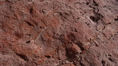 Veined Red Rock Surface Close-Up. Stock Footage 263962921