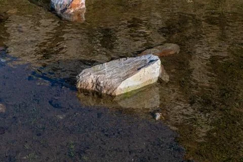 Veined rock reflection Stock Photos