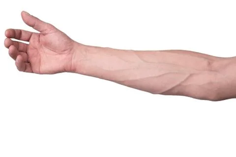 Veins on an arm Stock Photos