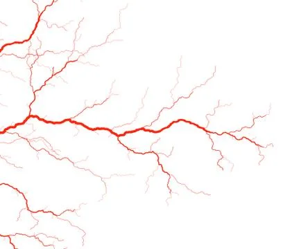 Veins Illustrazione stock