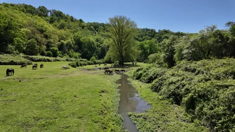Veio Regional Park, near Formello, Province of Rome, Lazio, Italy. Stockbeeldmateriaal 274223053