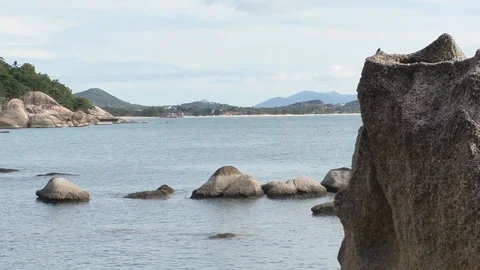 Veiv Stock Footage 112518826