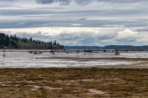 Veiw over mud flats Stock Photos